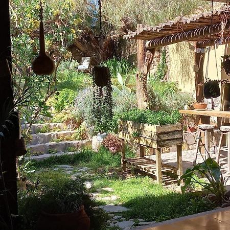 Apartamento En El Vivero Тилькара Екстер'єр фото