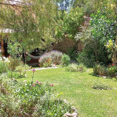 Apartamento En El Vivero Тилькара Екстер'єр фото