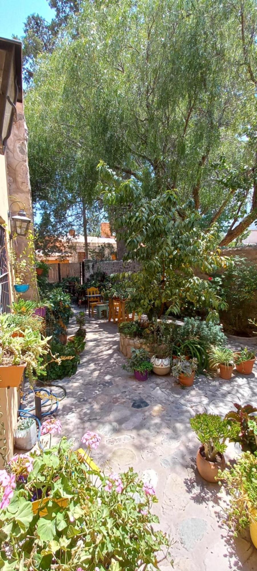 Apartamento En El Vivero Тилькара Екстер'єр фото